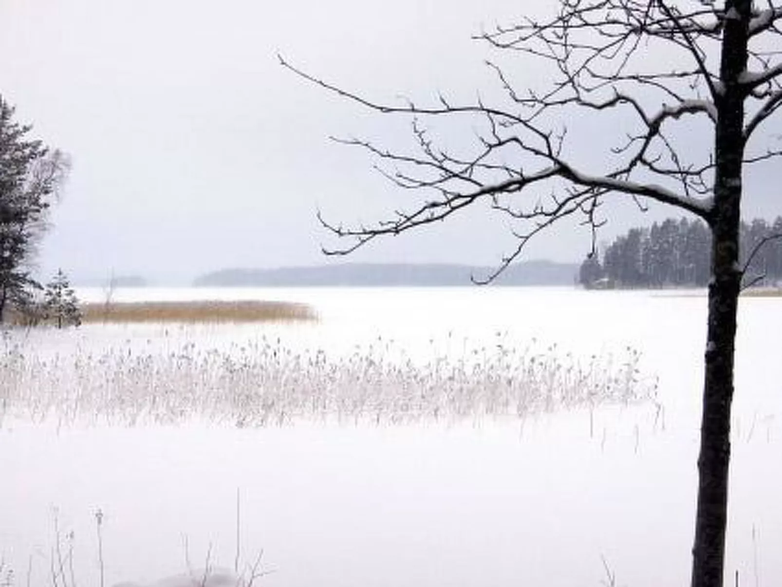 Divaanikivi-Binnen