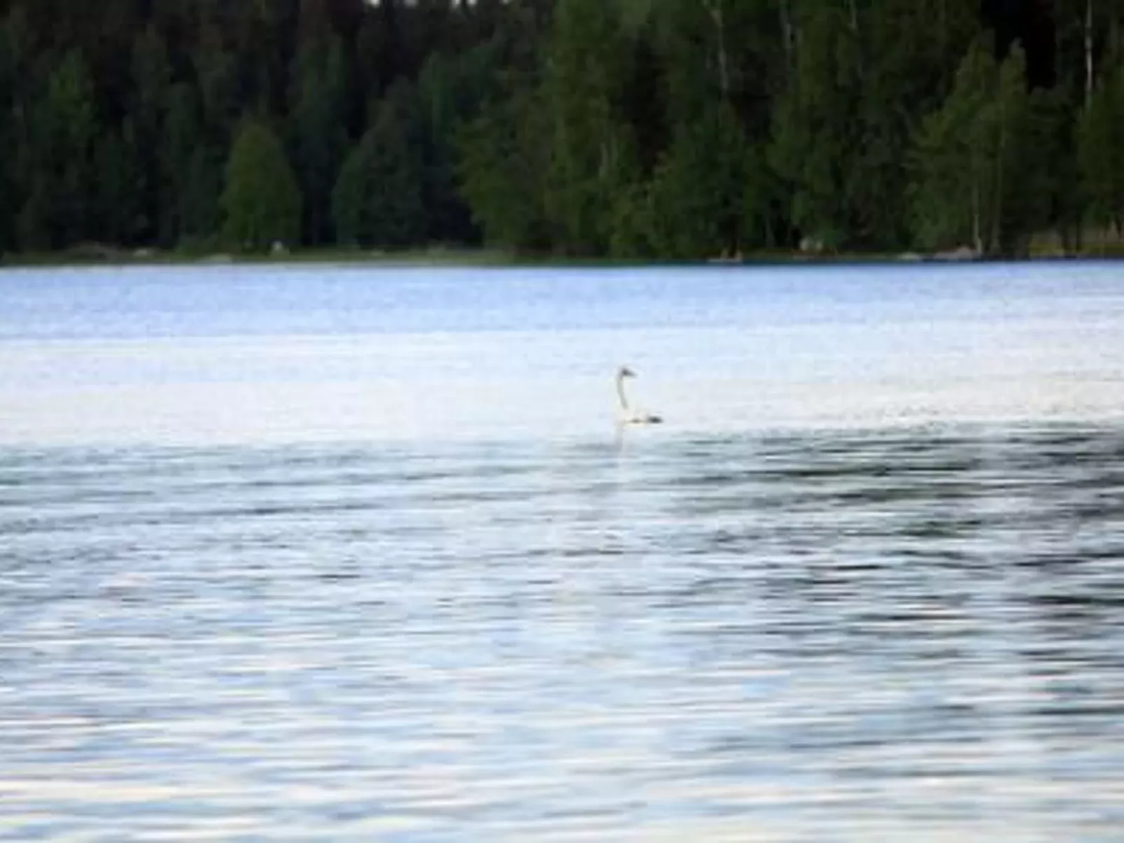 Pihlajatupa-Buiten