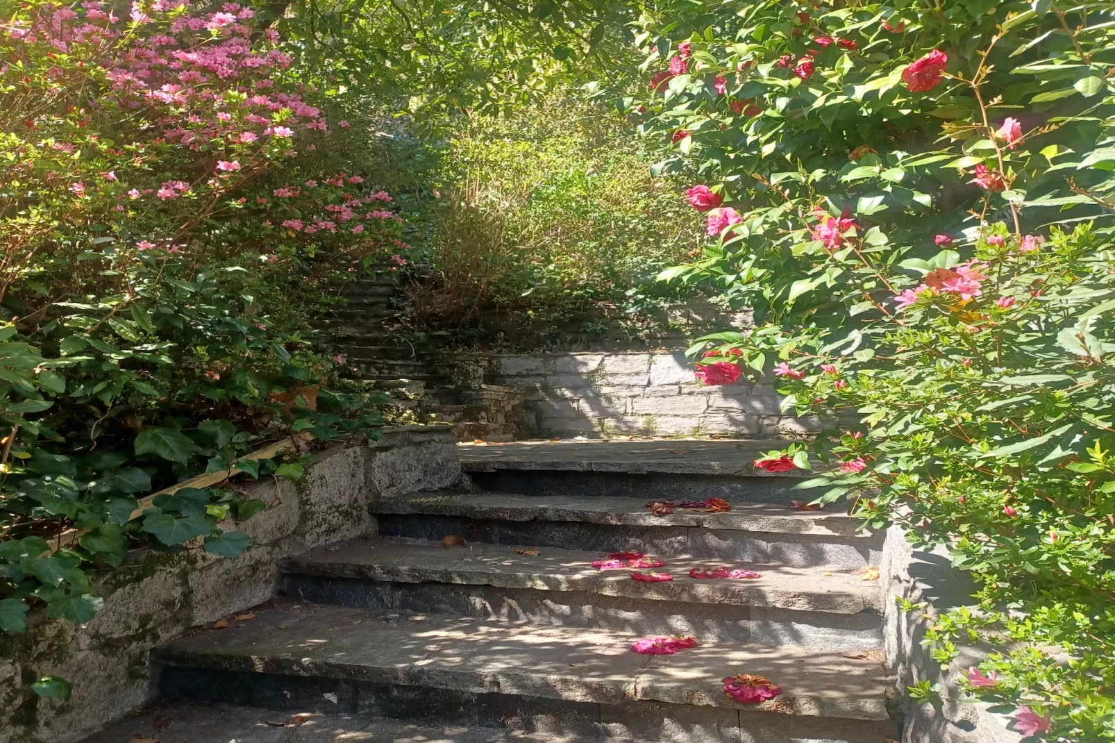 Casa Adele Ghiffa 6-Tuinen zomer