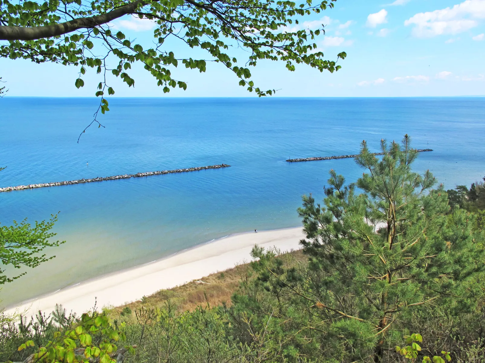 Hammel-Omgeving