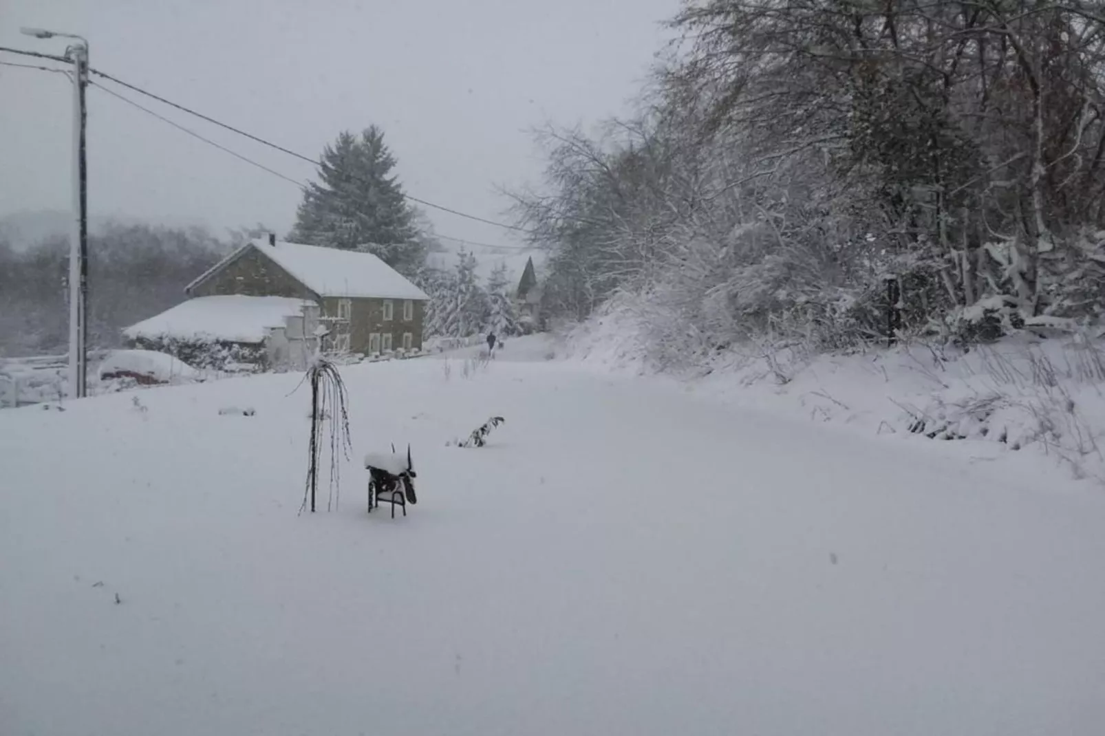 Willingen-Gebied winter 20km