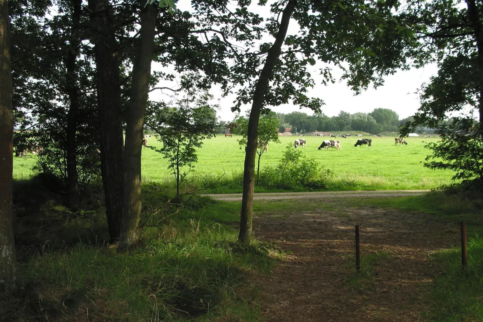 Vakantiepark Herperduin 17-Gebieden zomer 1km