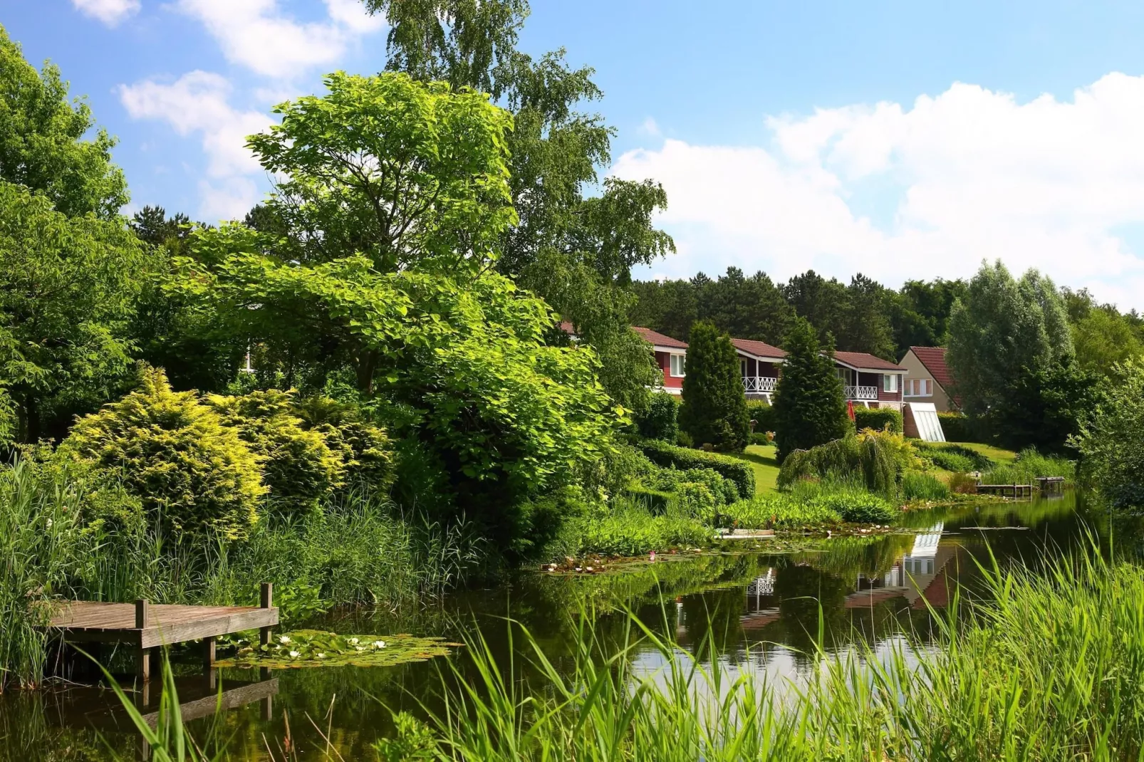 Vakantiepark Emslandermeer 1-Gebieden zomer 1km