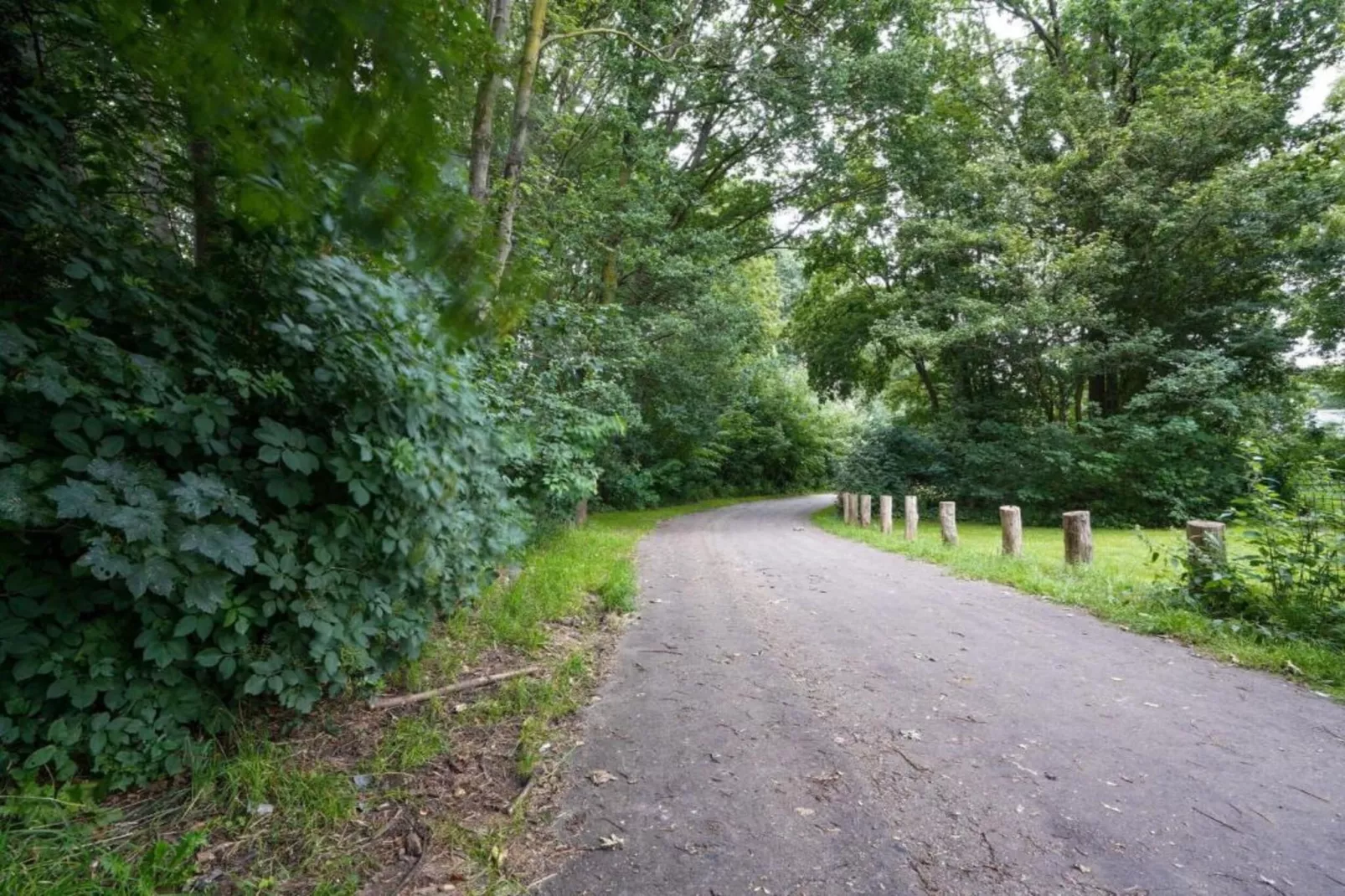 Edisonstraat - 2P-Gebieden zomer 20km