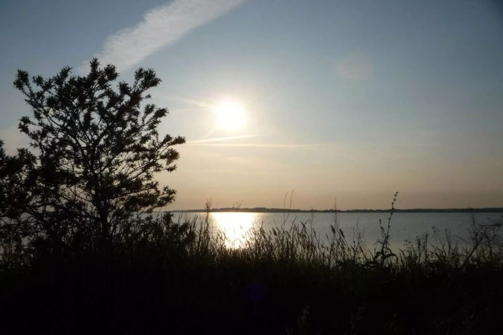 36216-Gebieden zomer 1km