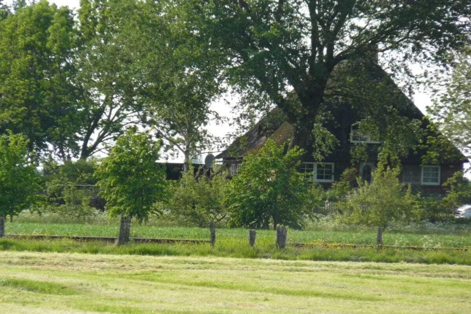 66769-Buitenkant zomer