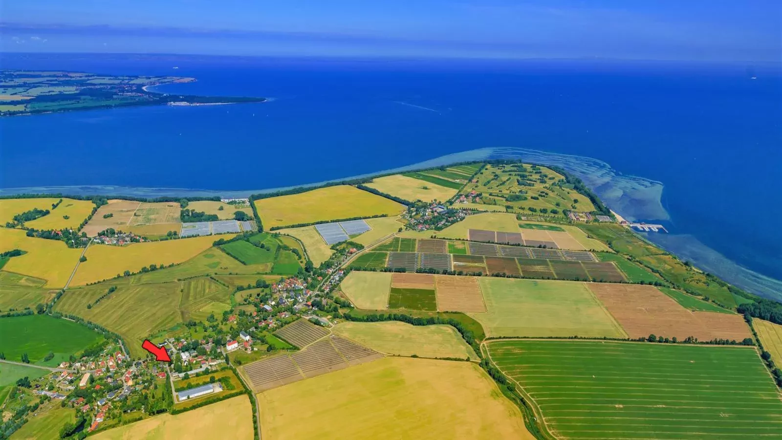 Mohnblume direkt an der Ostsee-Gebieden zomer 5km