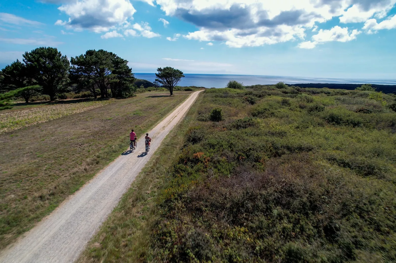 Belle-Île-en-Mer - Gîte 3 Pièces 5 Personnes 1 bébé-Faciliteiten