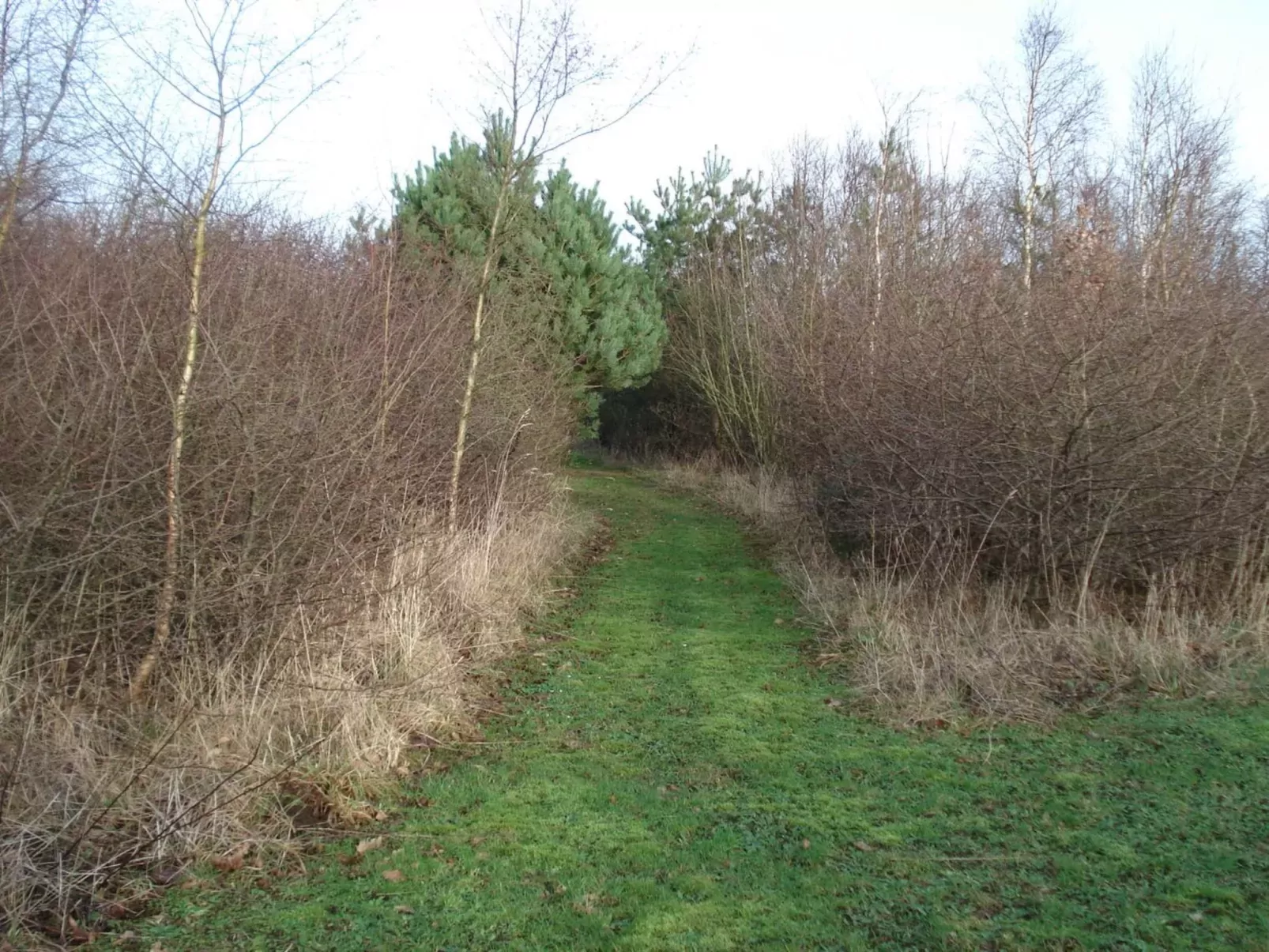 "Henrika"-Buiten