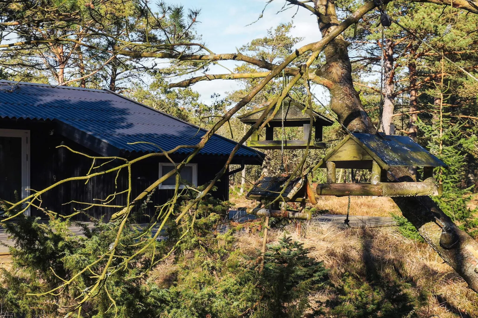 3 persoons vakantie huis in Ålbæk-Uitzicht