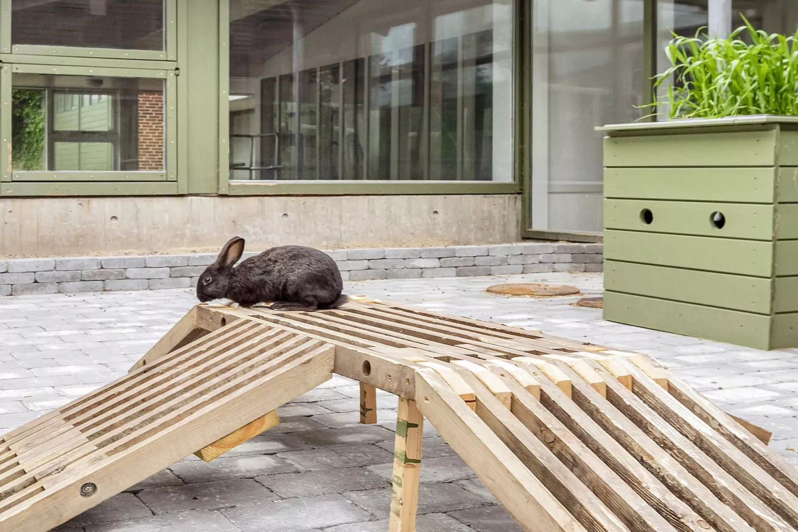 6 persoons vakantie huis op een vakantie park in Hanstholm-Zonnekamer