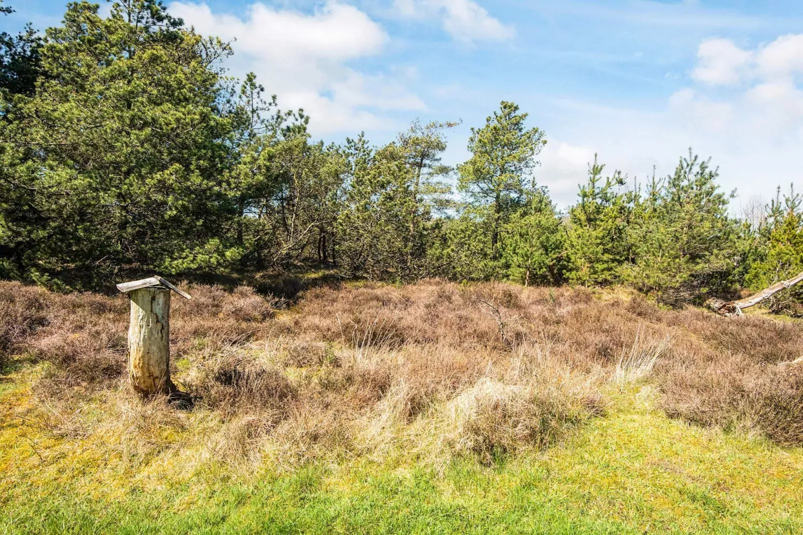 6 persoons vakantie huis in Rømø-By Traum-Uitzicht