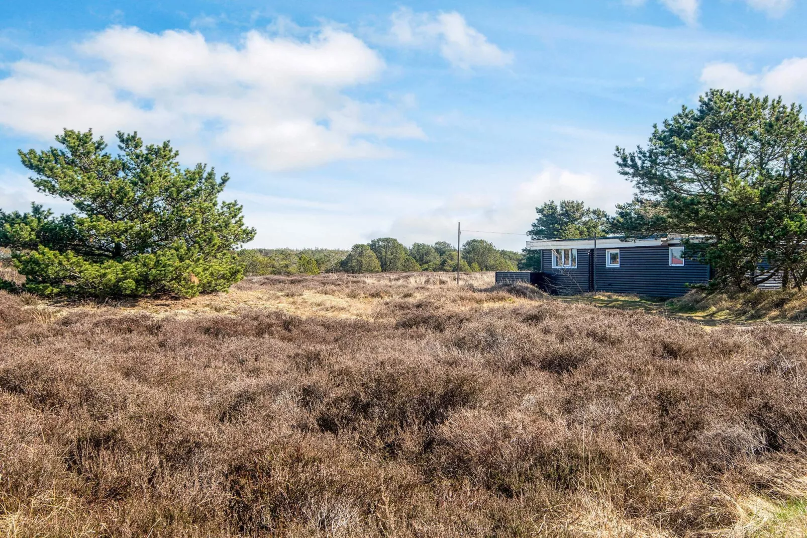4 persoons vakantie huis in Fanø-By Traum-Uitzicht