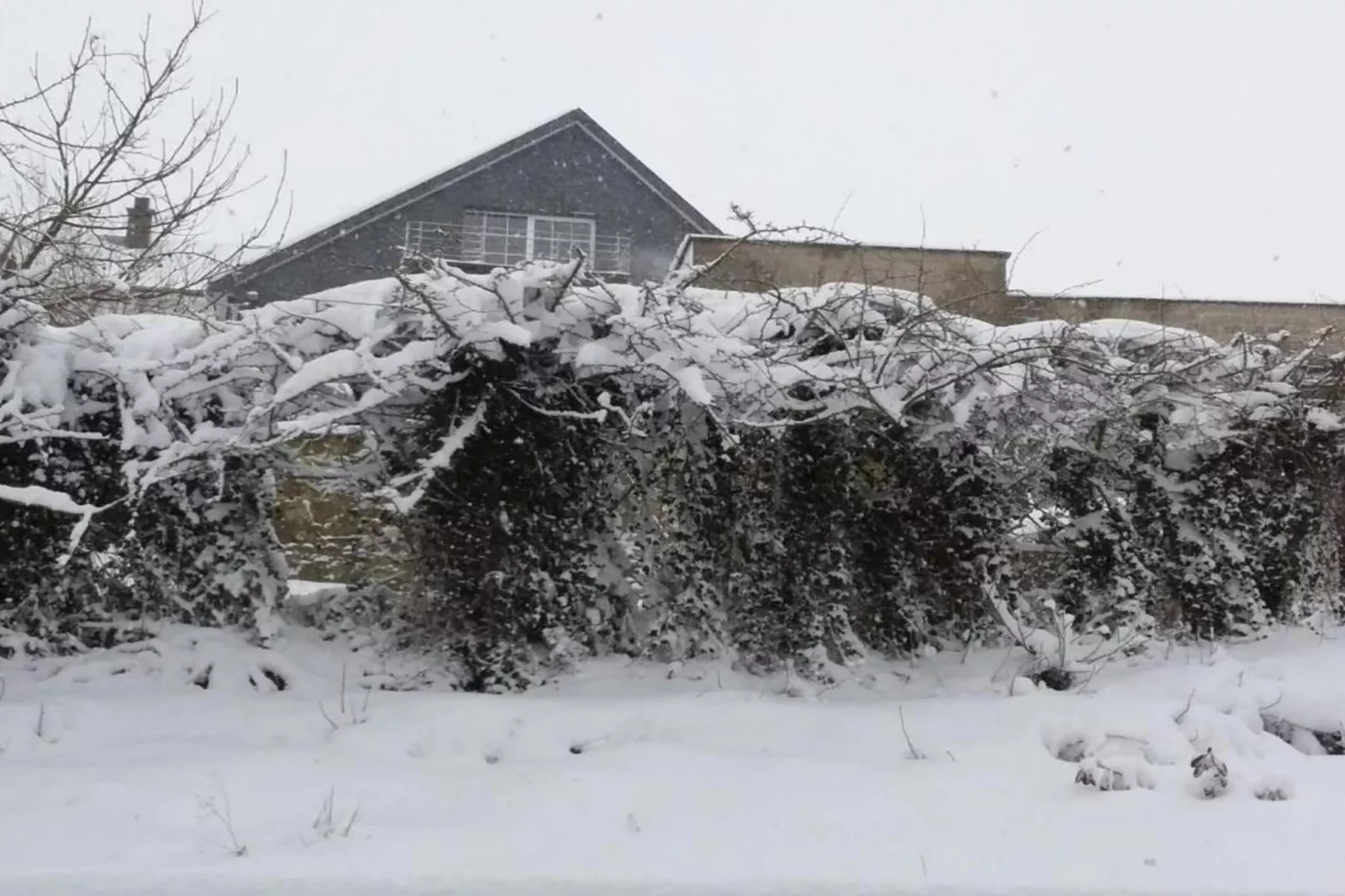 Balcon de Malmedy-Gebied winter 20km