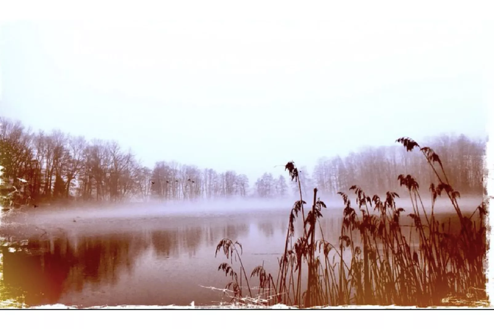 Landlust pur 1-Gebied winter 5km