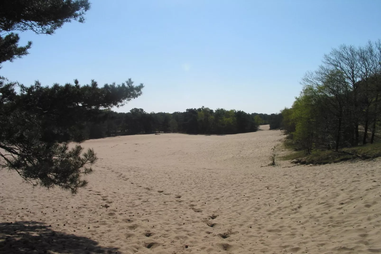 Vakantiepark Herperduin 17-Gebieden zomer 1km