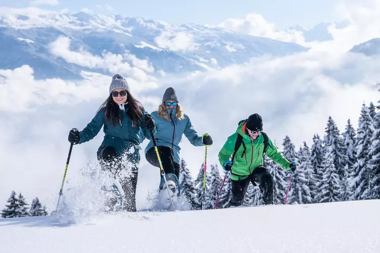 Zirbenstube-Gebied winter 20km
