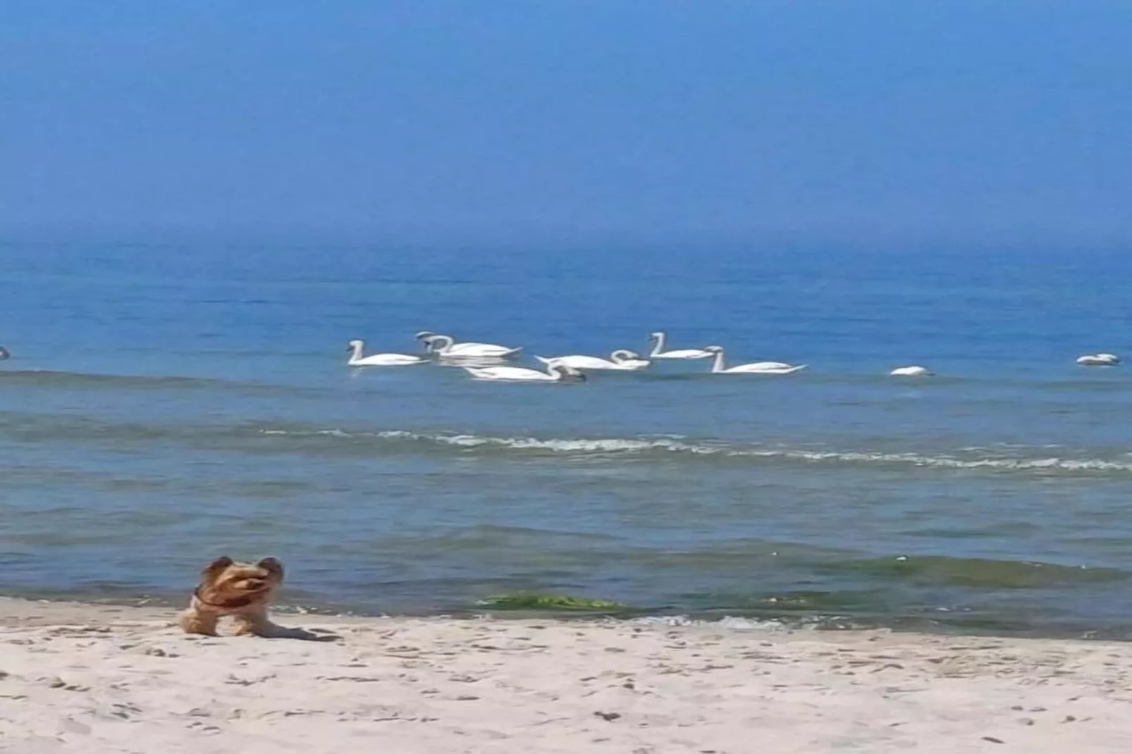 Sunny bungalow by the sea-Gebieden zomer 1km