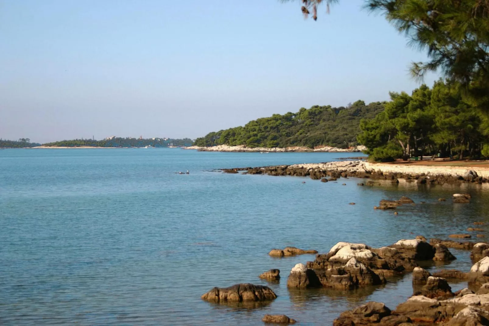 A4C - Apartments Vaal Rovinj - AP 1 - ca 37 qm für 3 Pers-Gebieden zomer 5km
