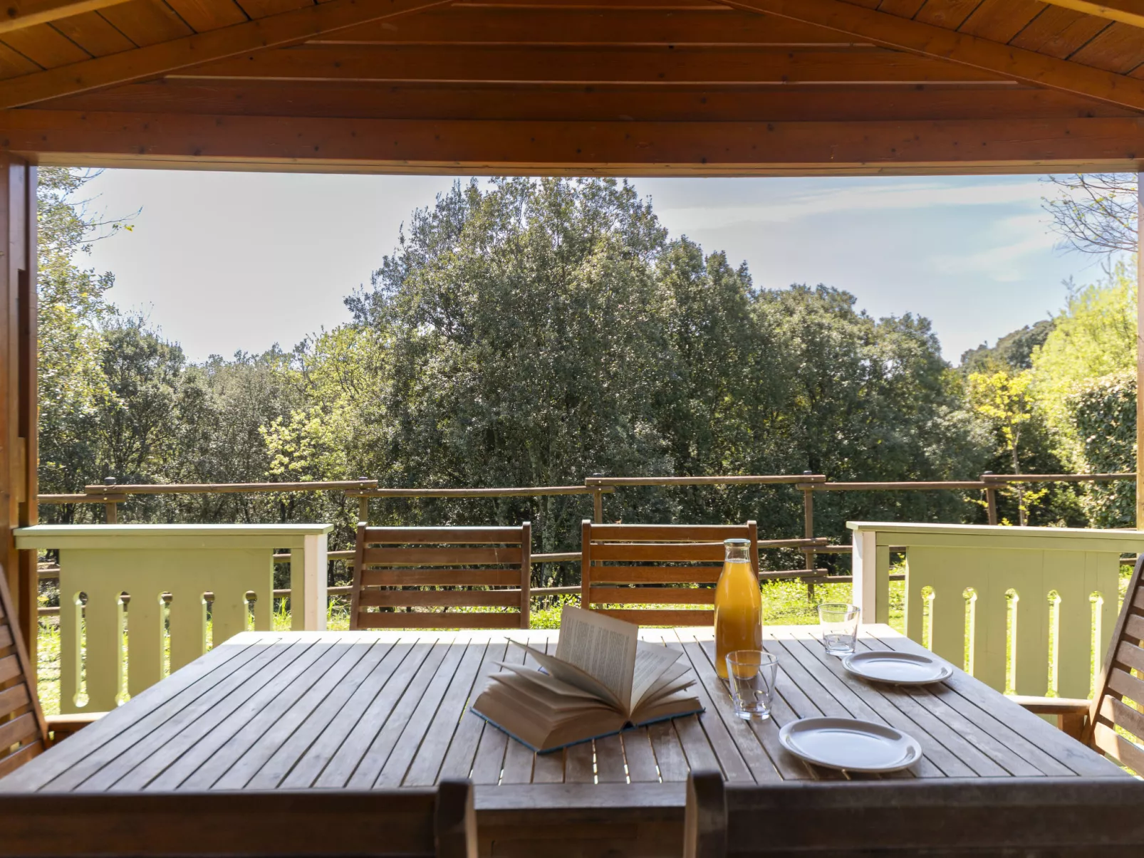 Domaine de Sévenier-Buiten