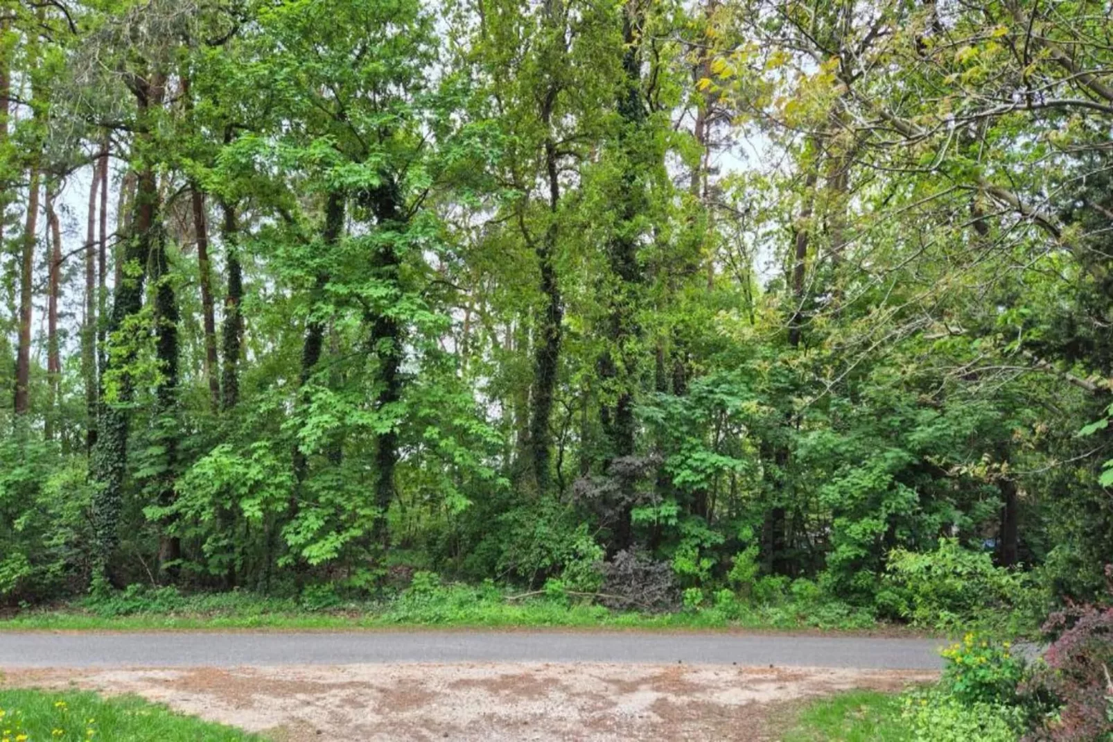 Zauberwald-Gebieden zomer 5km