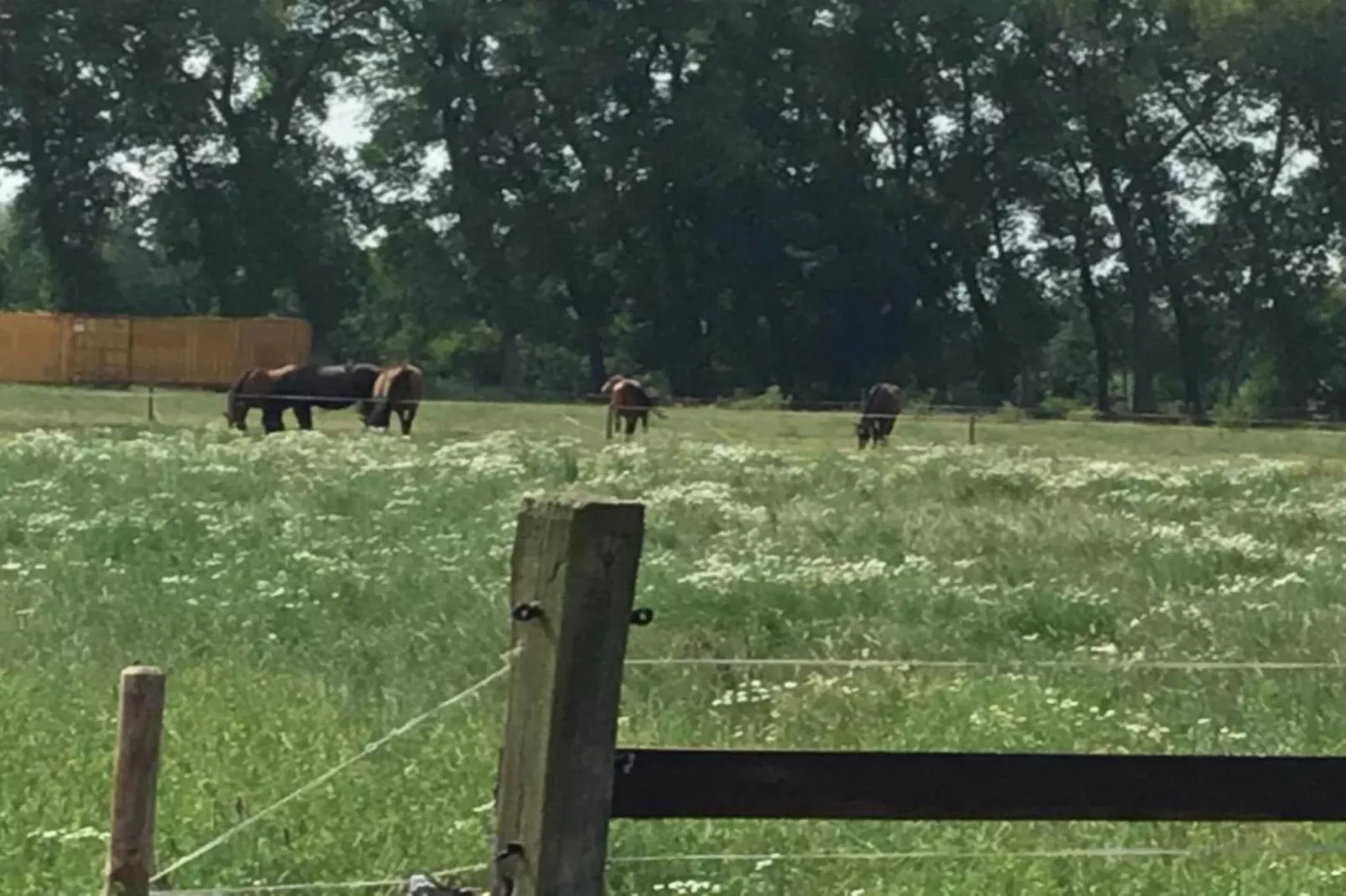 De oude stal-Gebieden zomer 20km