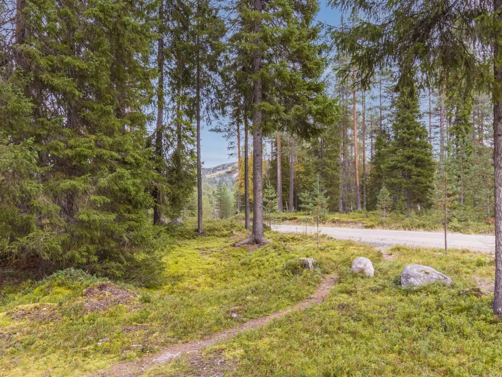 Kuusi-ruka 6-Buiten