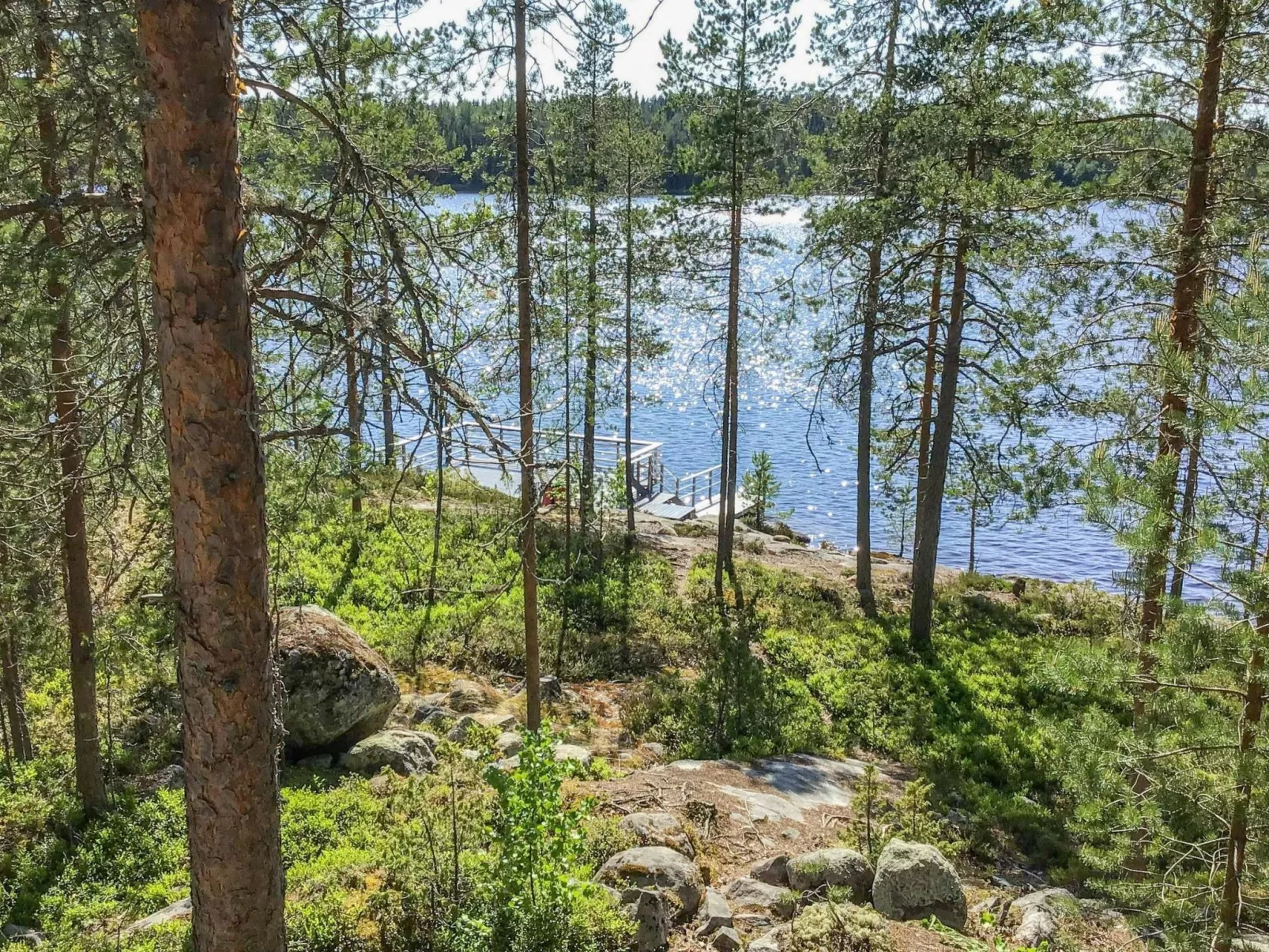 Näsinjoutsen-Buiten
