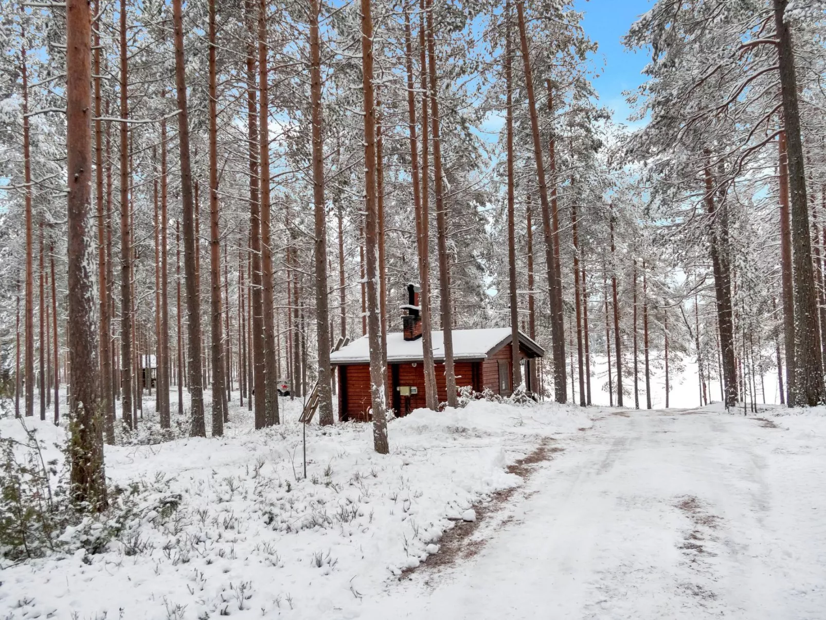 Puolukka-Buiten