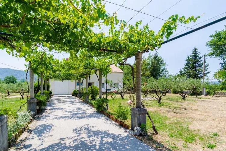 Holiday Home Field of Olives - Two Bedroom Holiday Home with Terrace-Buitenlucht