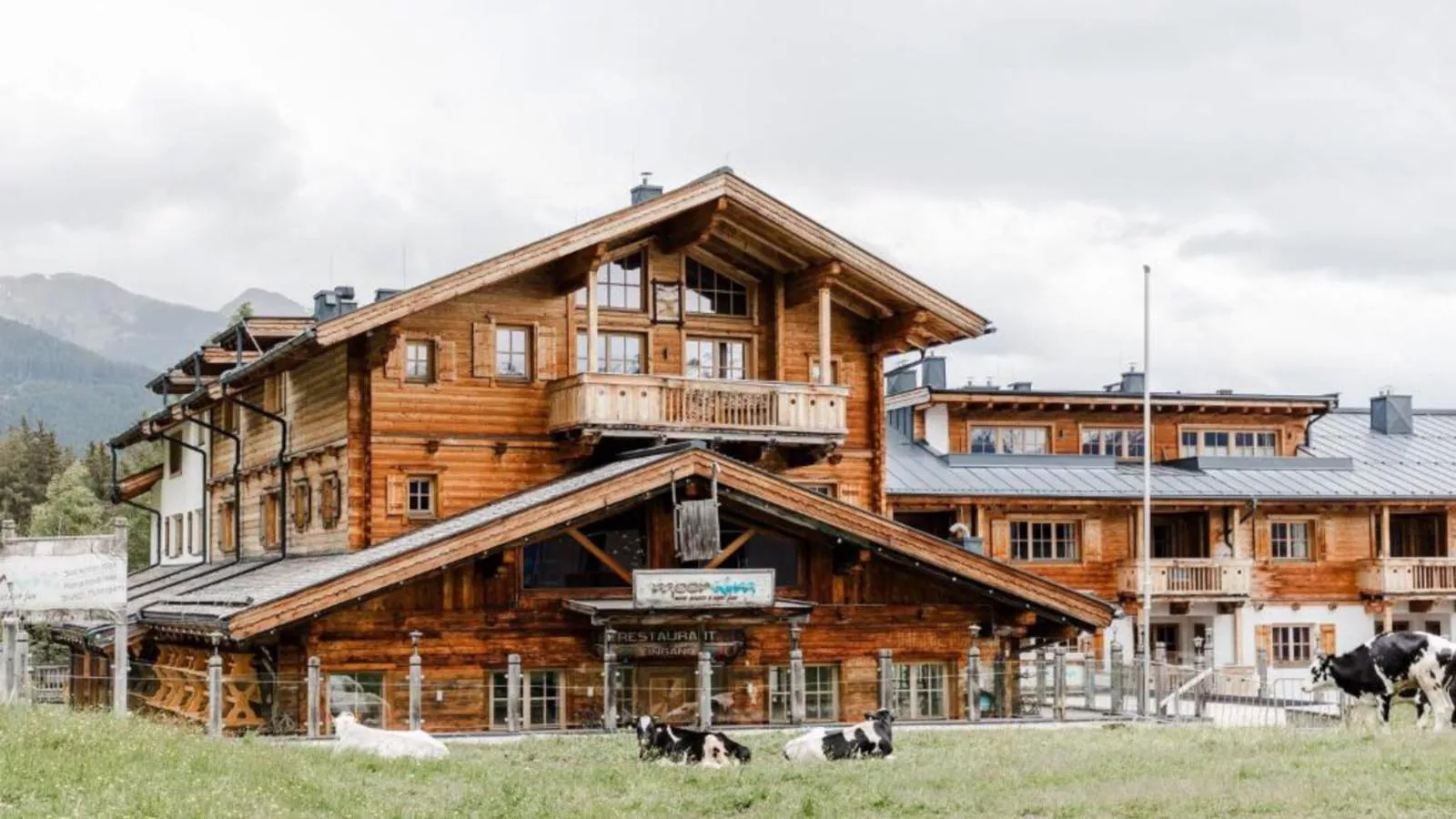 Panorama Chalet Top 3 am Lift-Buitenkant zomer