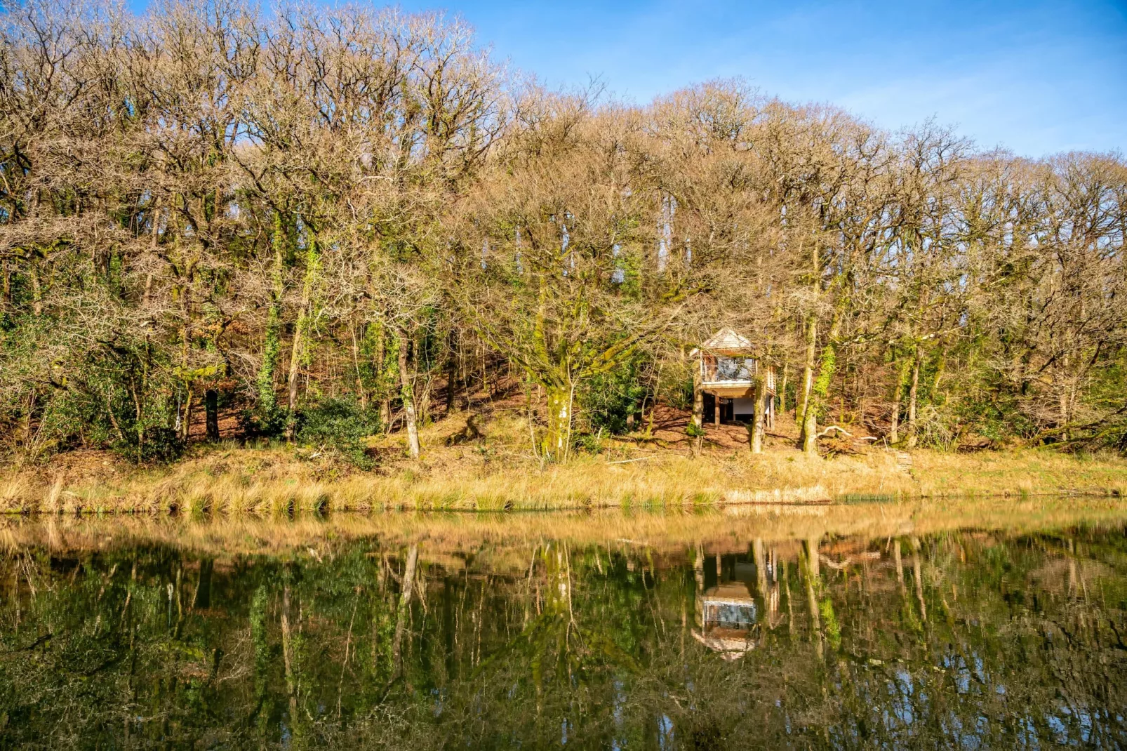 Yeworthy Eco-Treehouse-Buitenlucht