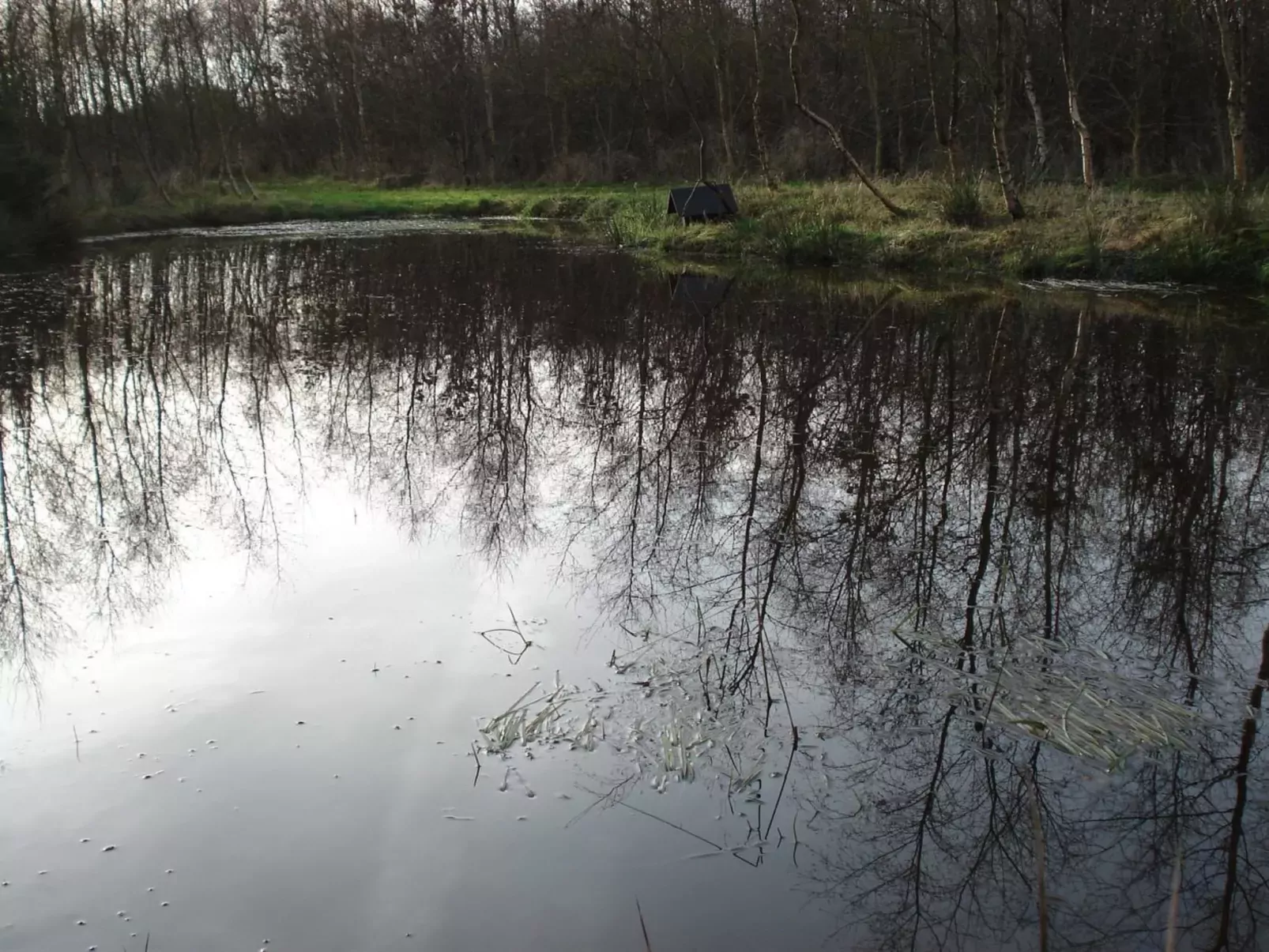 "Henrika"-Buiten