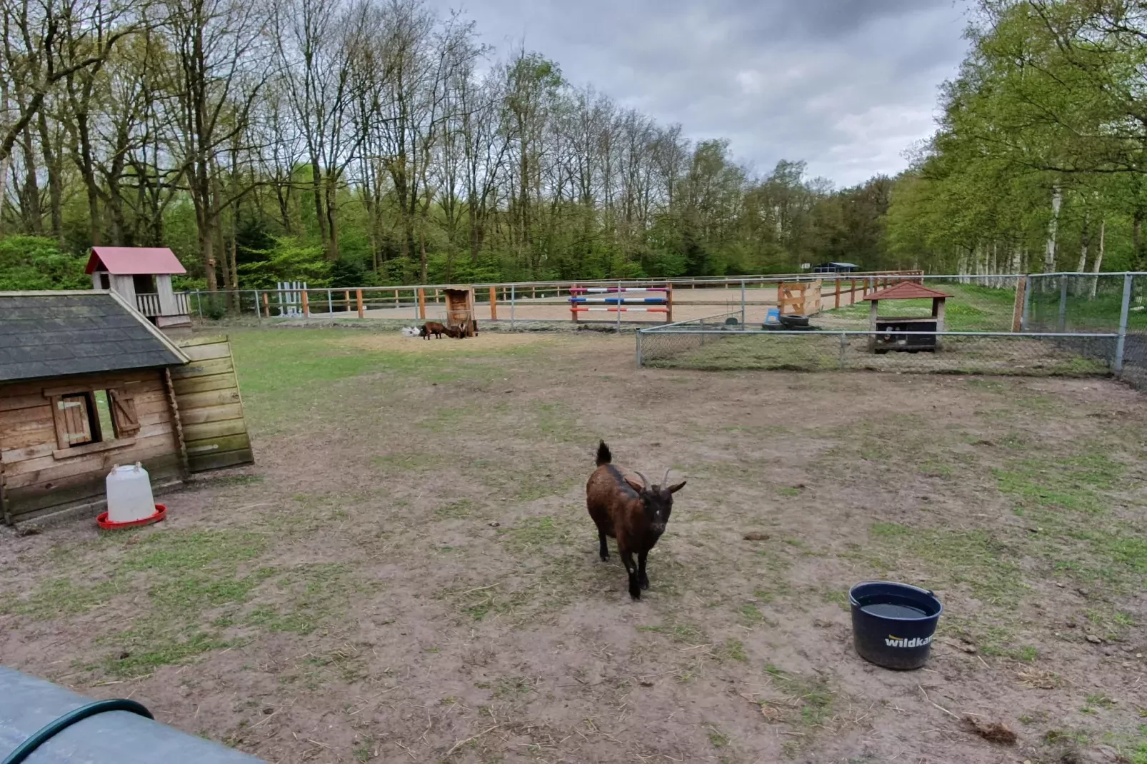 Elperhof Veldlodge-Parkfaciliteiten