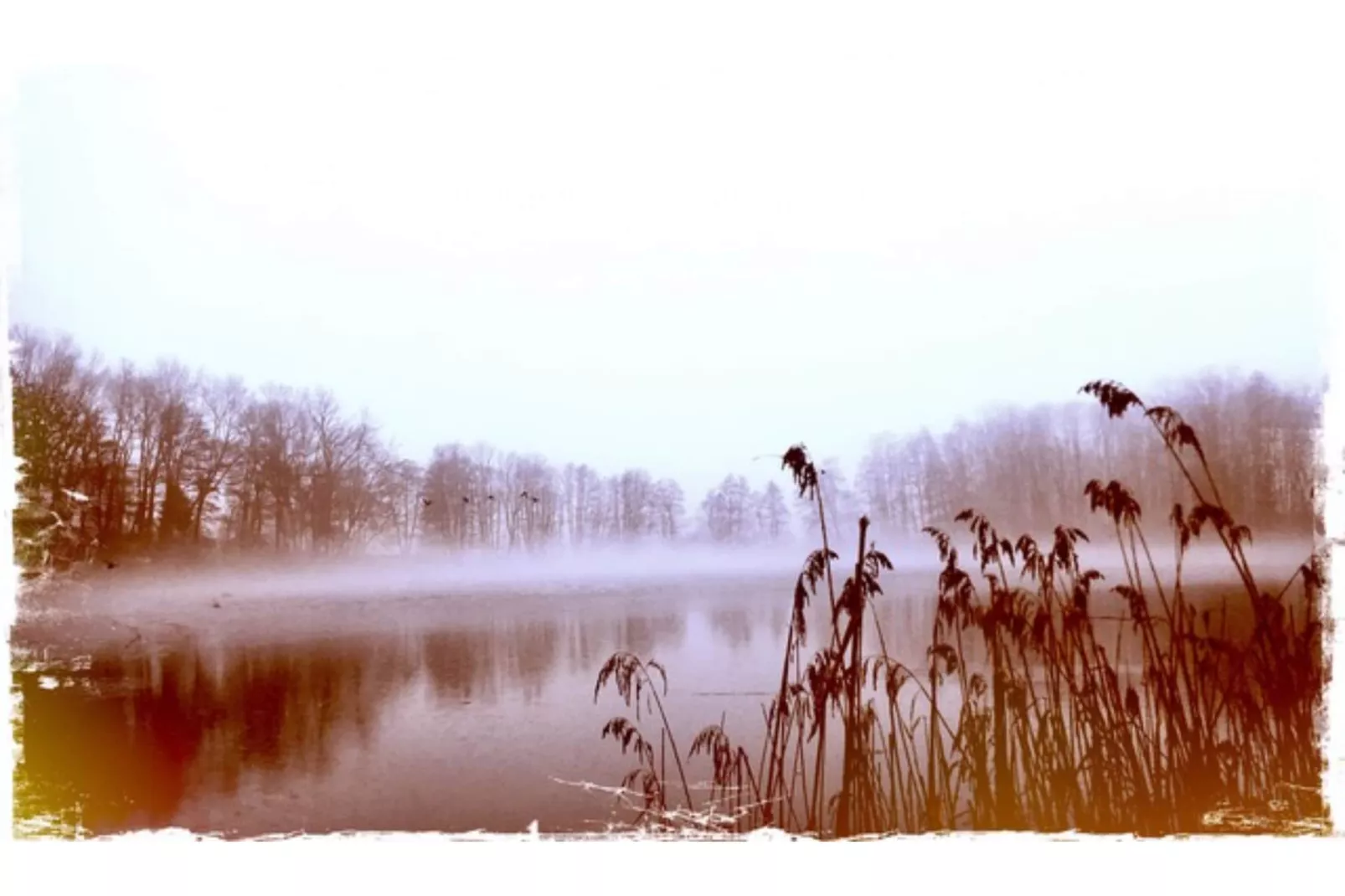 Landlust pur 1-Gebied winter 5km