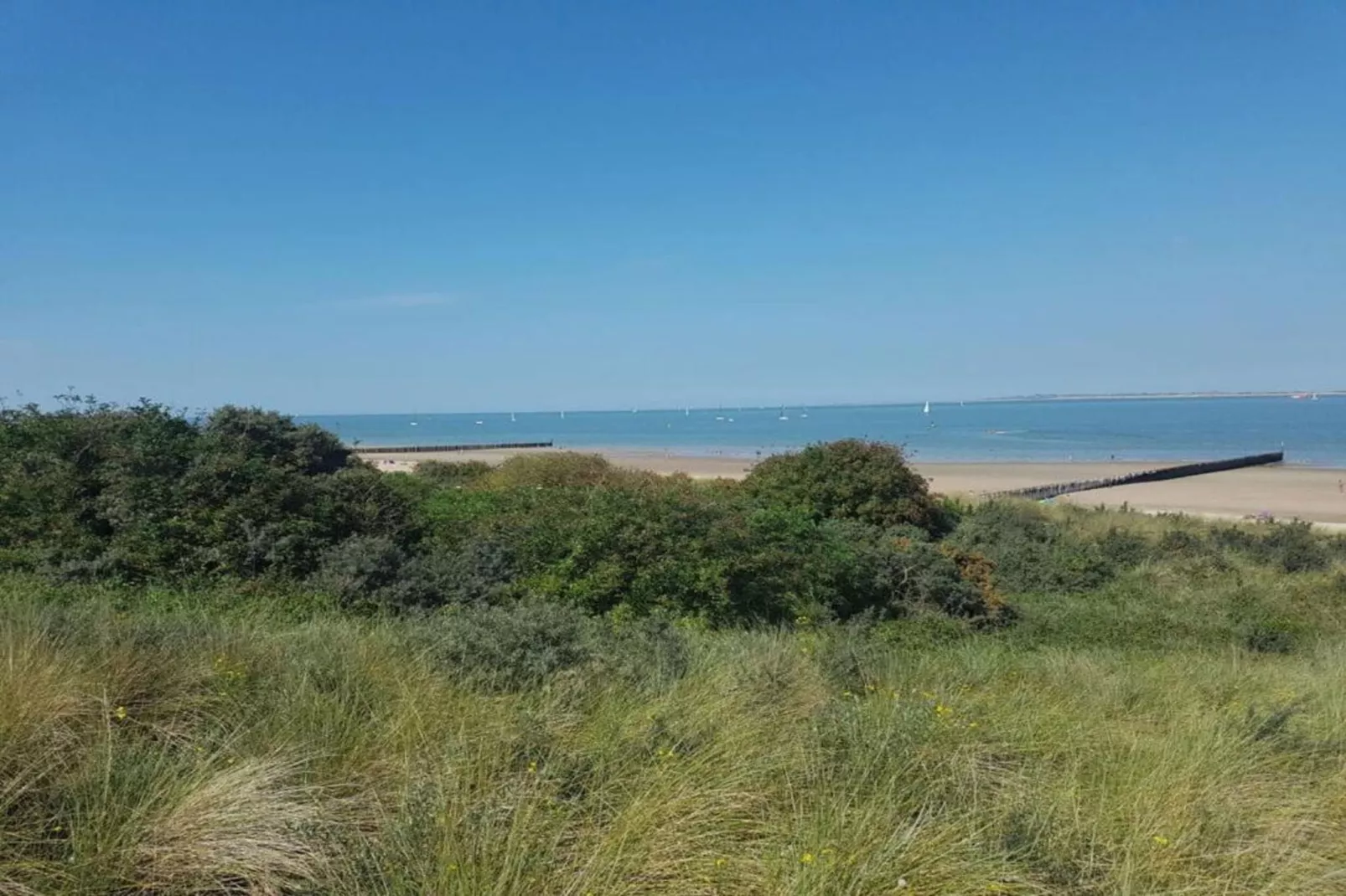 Het Platte Putje - Huisdier - nr 2-Gebieden zomer 20km