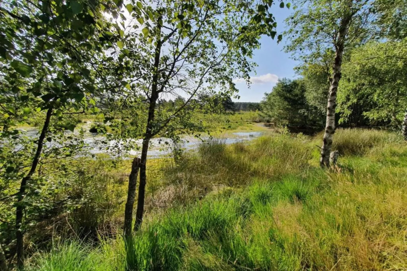 Waldsuite-Gebieden zomer 20km