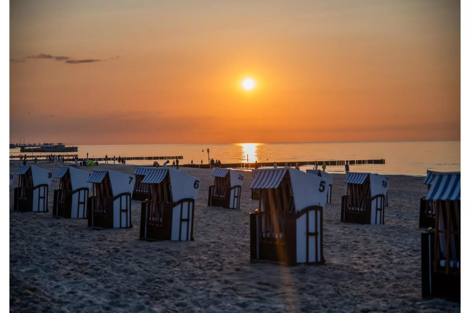 Apartmentanlage Boulevard - Standard Single-Gebieden zomer 5km