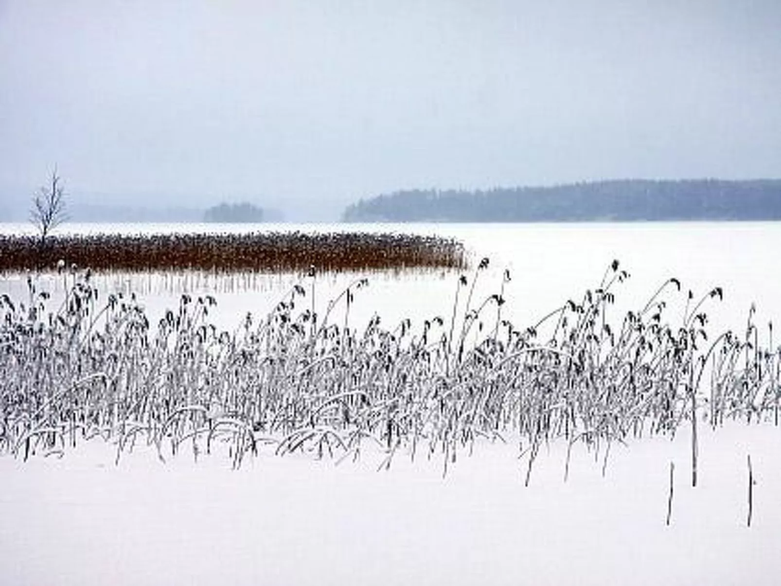 Divaanikivi-Binnen