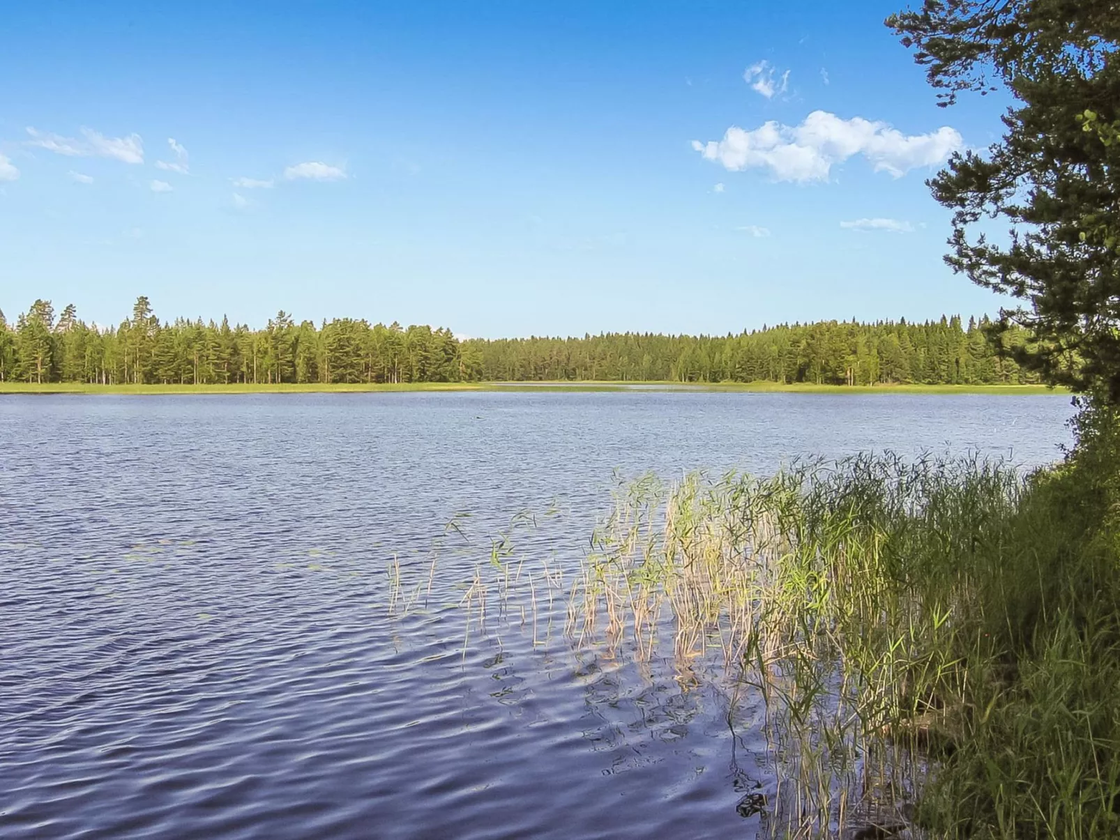 Kanervakallio-Buiten
