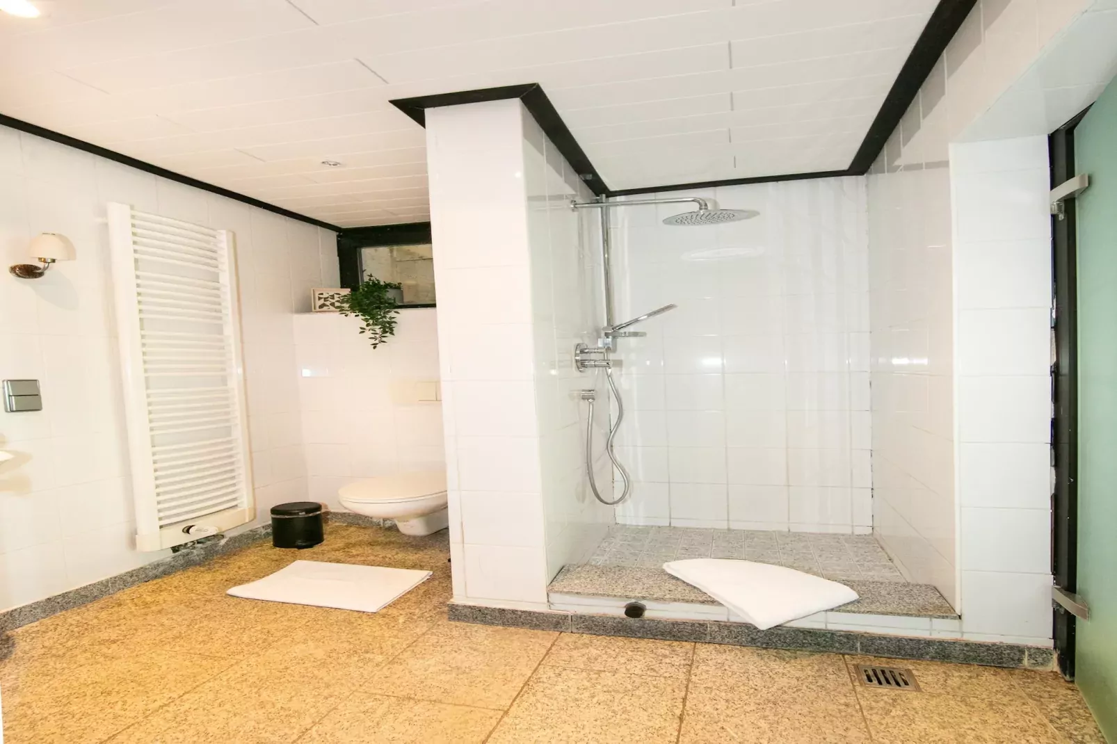 Villa Weitersburg mit indoor Pool-Badkamer