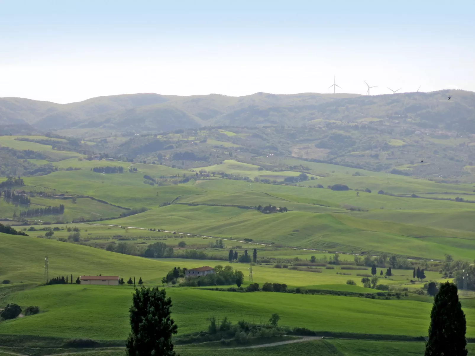 Verde-Omgeving