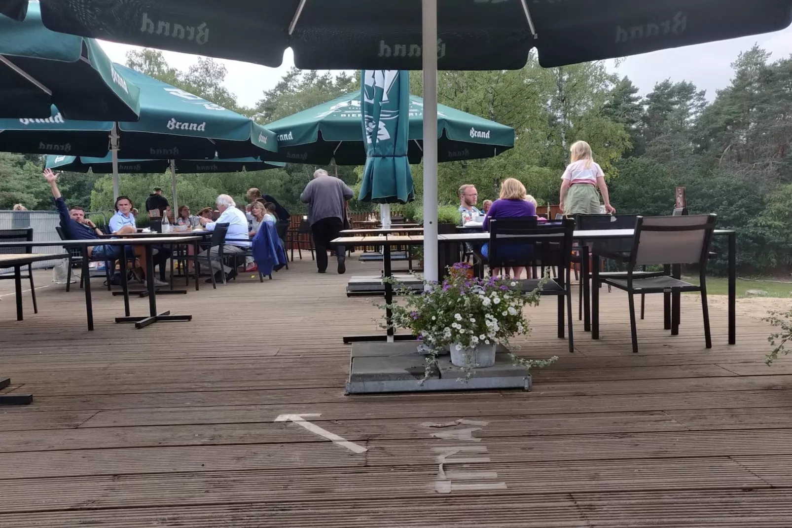 Chalet Bosuil-Gebieden zomer 5km