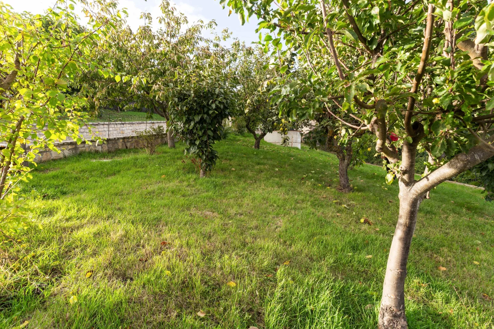 Casa Vacanza Becampobasso 2-Tuinen zomer