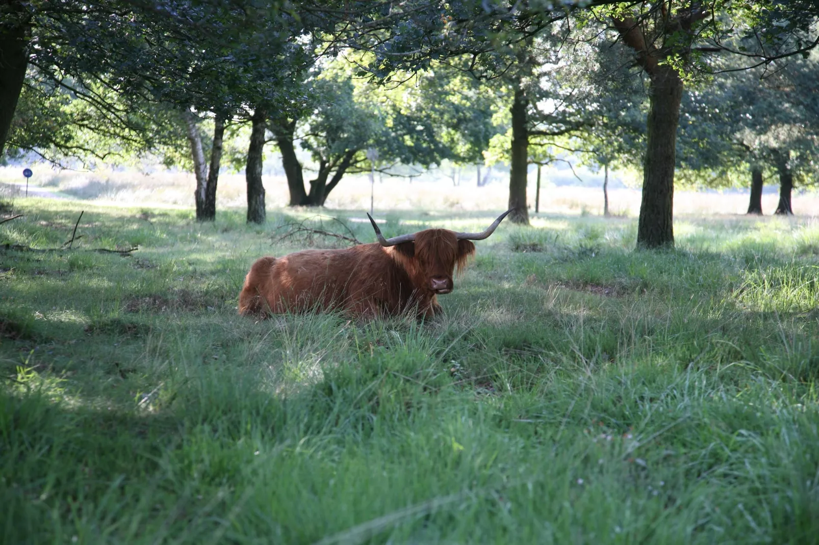 Landgoed Het Grote Zand 8-Gebieden zomer 1km