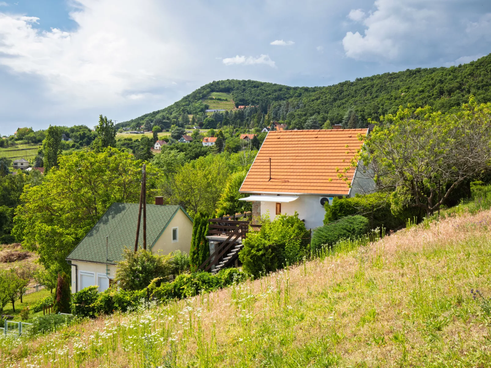 Kopacsi-Buiten