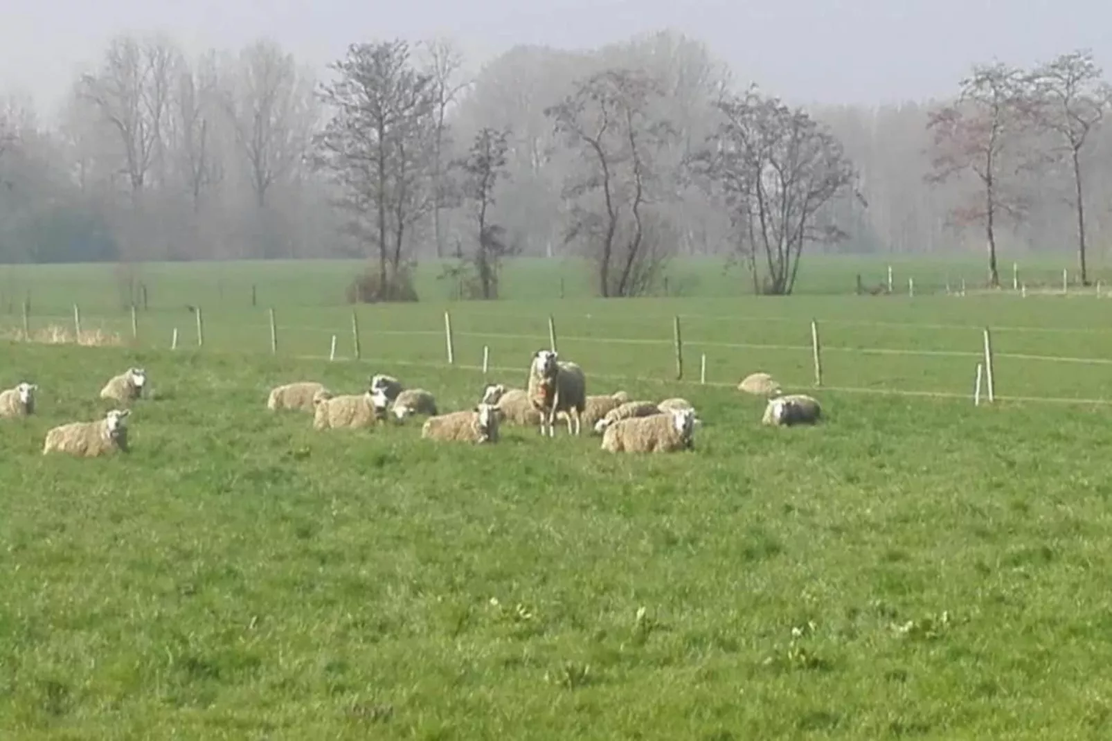 De woelige stal-Gebieden zomer 20km