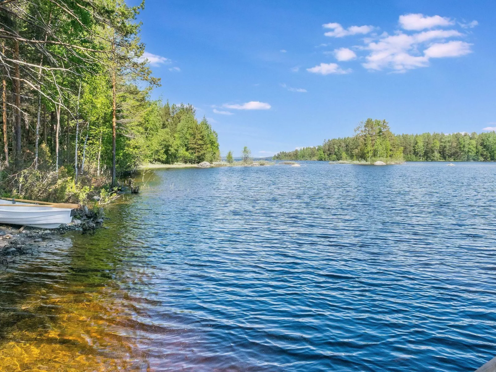 Koli suurselkä 1-Buiten