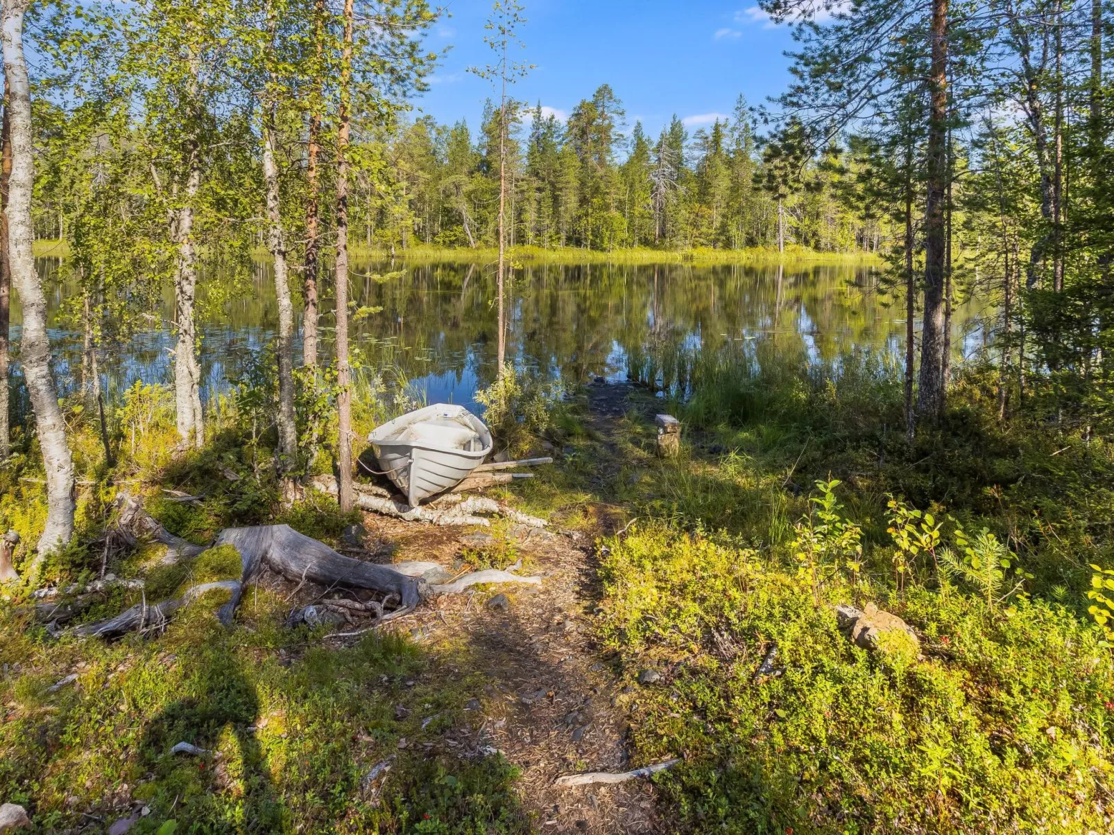 Kiehtäjän kuohu-Buiten