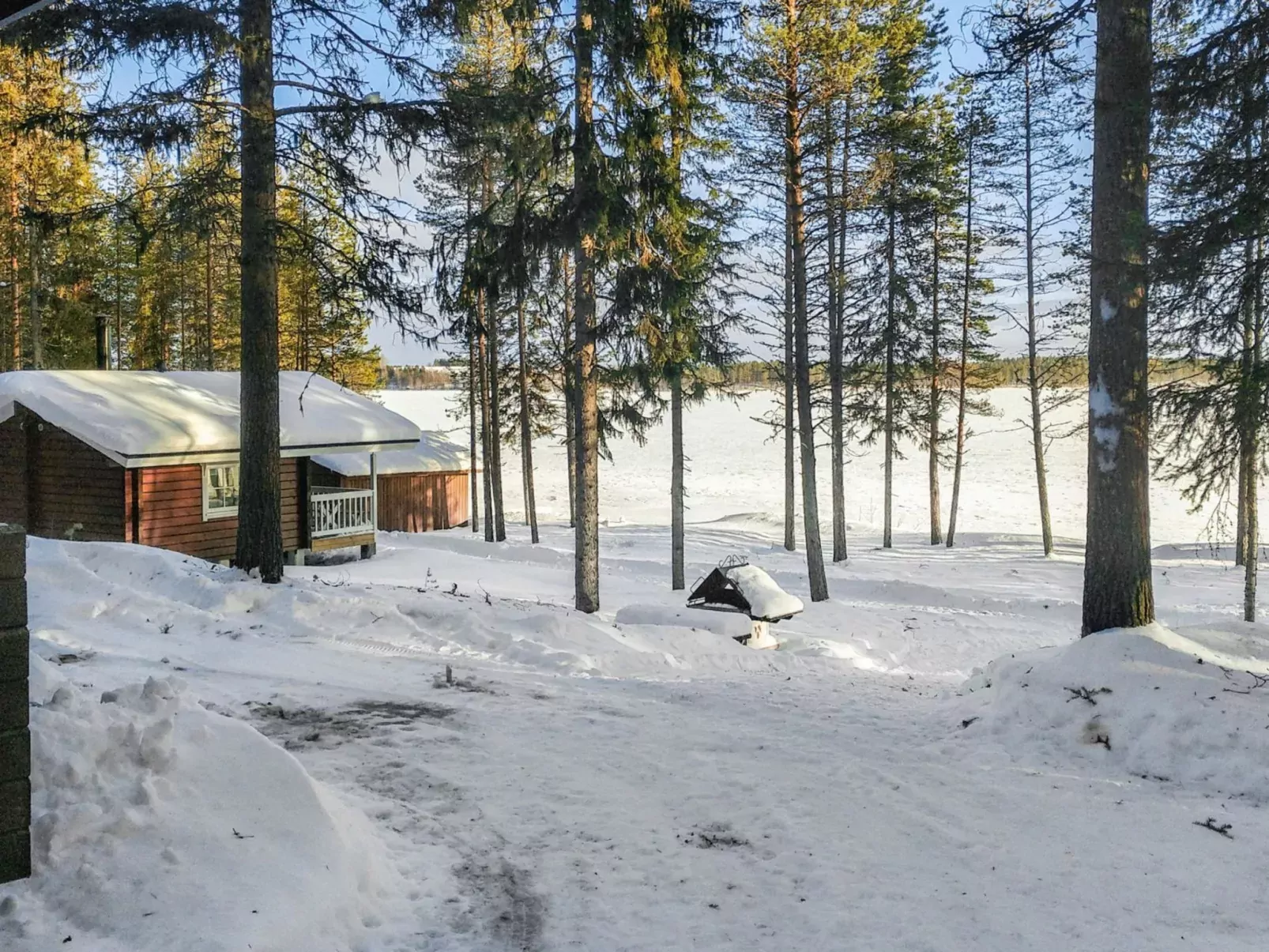 Ylikitkajärvi, kesäkumpu-Buiten